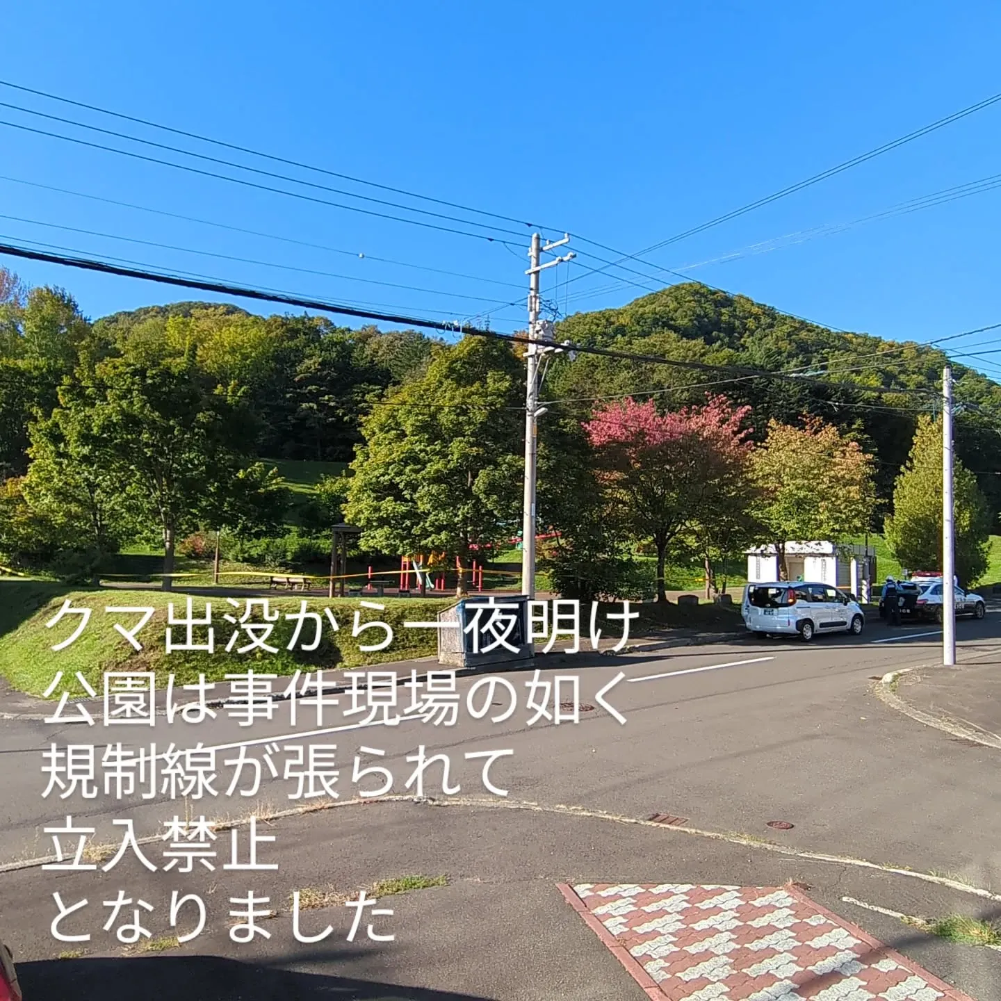 西区平和のクマ出没。